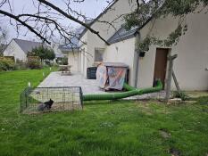 The Zippi tunnel attaching the rabbit playpen to the garage