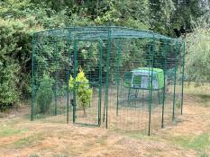 A walk-in run connected to a green chicken coop in a garden