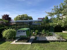 A green chicken coop attached to a large walk-in run