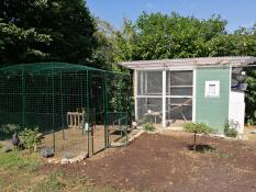 A walk-in run in a backyard next to a chicken coop
