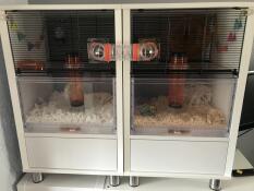 Omlet qute hamster best sale cage