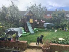 Added some extra tunnel today so the rabbit can cut the grass for me!!
