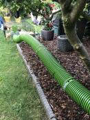 A green rabbit tunnel in a garden, connected to a hutch