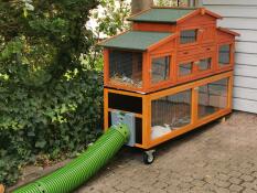 Zippi Tunnel Connected to Wooden Rabbit Hutch