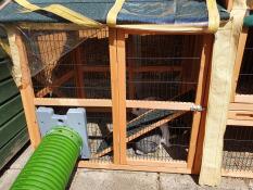 Freddie & Winnie's hutch