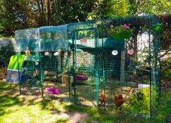A large chicken run in a garden connected to a green coop