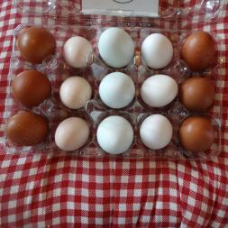 My egg range ♡♡♡