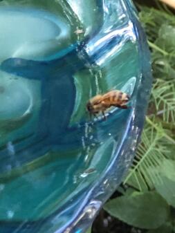 A birdbath can provide water during summer months.