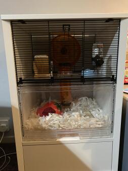 White Omlet Qute Hamster Cage