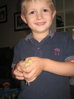 A little boy holding a quail.