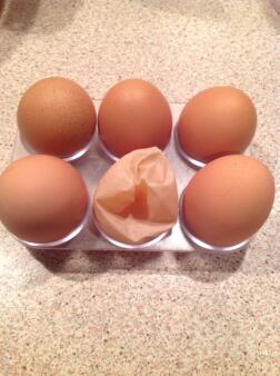 Five eggs on a holder and another fake egg