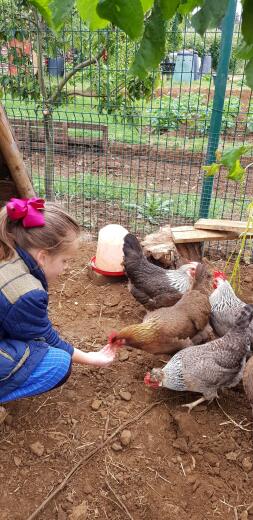 I love spending time with our chickens.