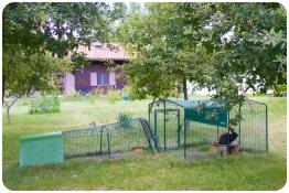Omlet Green Eglu Go Hutch and Run with Omlet Rabbit Run