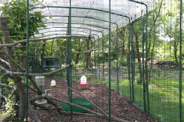 A walk-in run in a garden, with a chicken coop inside the run