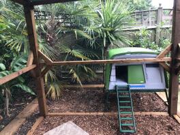 An Eglu Cube chicken house attached to a wooden walk in run.