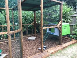 An Eglu Cube chicken house attached to a wooden walk in run.