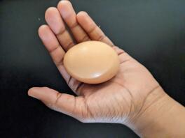 A Mature rhode island red's egg.