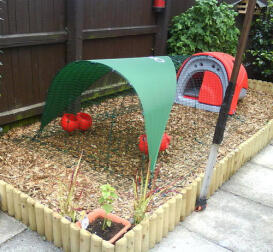 Red Eglu Chicken Coop with run and shade cover on wood chippings