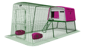 Eglu Cube Chicken Coop with Run (3m) - Purple