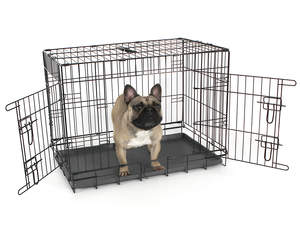 Fido Classic Dog Crate 30