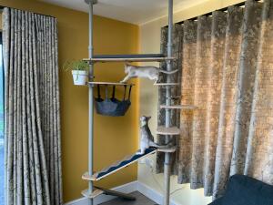 Un árbol de interior para gatos con varios escalones en una habitación by 