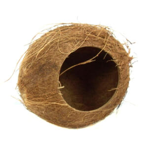 Nature First Coconut Hut for Small Animals