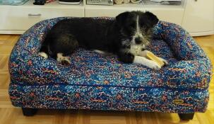A dog resting in the Bolster dog bed in Patterpaws Neon print