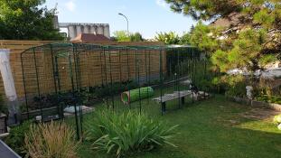 A cat sat on a bench in a large outdoor cat run.