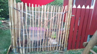 A clear cover used to shelter the chickens.