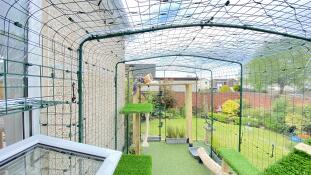 A view from the inside of a catio
