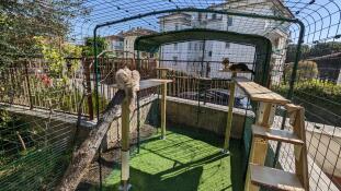 A cat enclosure with many accessories