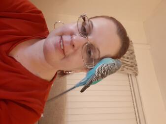 Budgie sitting on glasses of woman