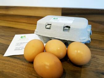 four eggs next to a cardboard egg box on a table