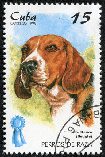 A Beagle on a Cuban stamp