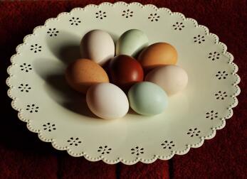 A selection of amazing coloured eggs on a plate.