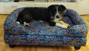 Wecky's new dog sofa bed