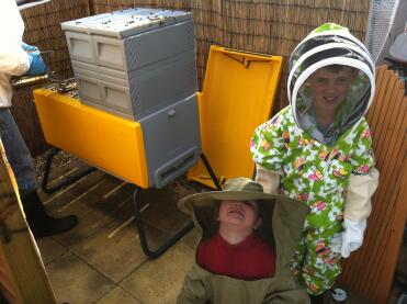 Beehaus kit on