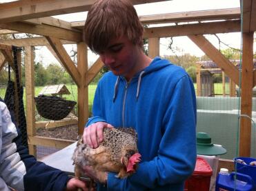 Man holding chicken
