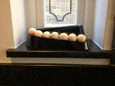 Egg Ramp with lots of bantam eggs