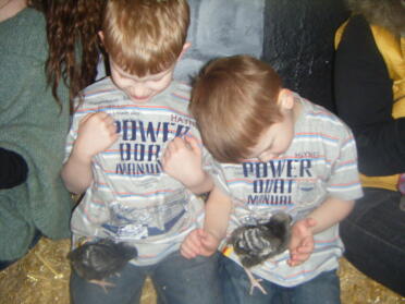 Cameron and Declan holding farm chicks