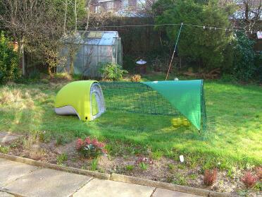 My Eglu - all set up and waiting for chickens!