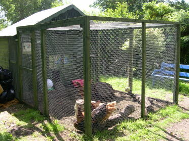 The chicken house - converted play shed