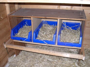 Nesting boxes - the plastic boxes make it easier to clean