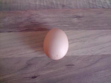 MarGot's perfect first egg :0)