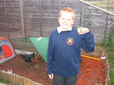 My 10 year son corey who lets the chickens out every morning, found the first egg.....he is very pleased!