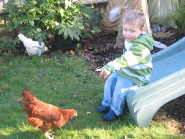 Joe and his hen (emily)