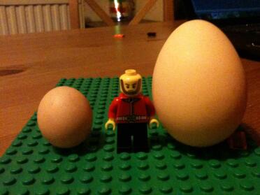 Small egg, Lego Man, Larger egg