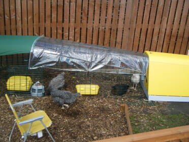 Customer Image