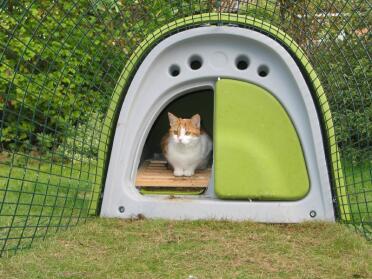 Cats love it too!