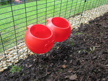 Eglu Go Red Glug Feeder in run